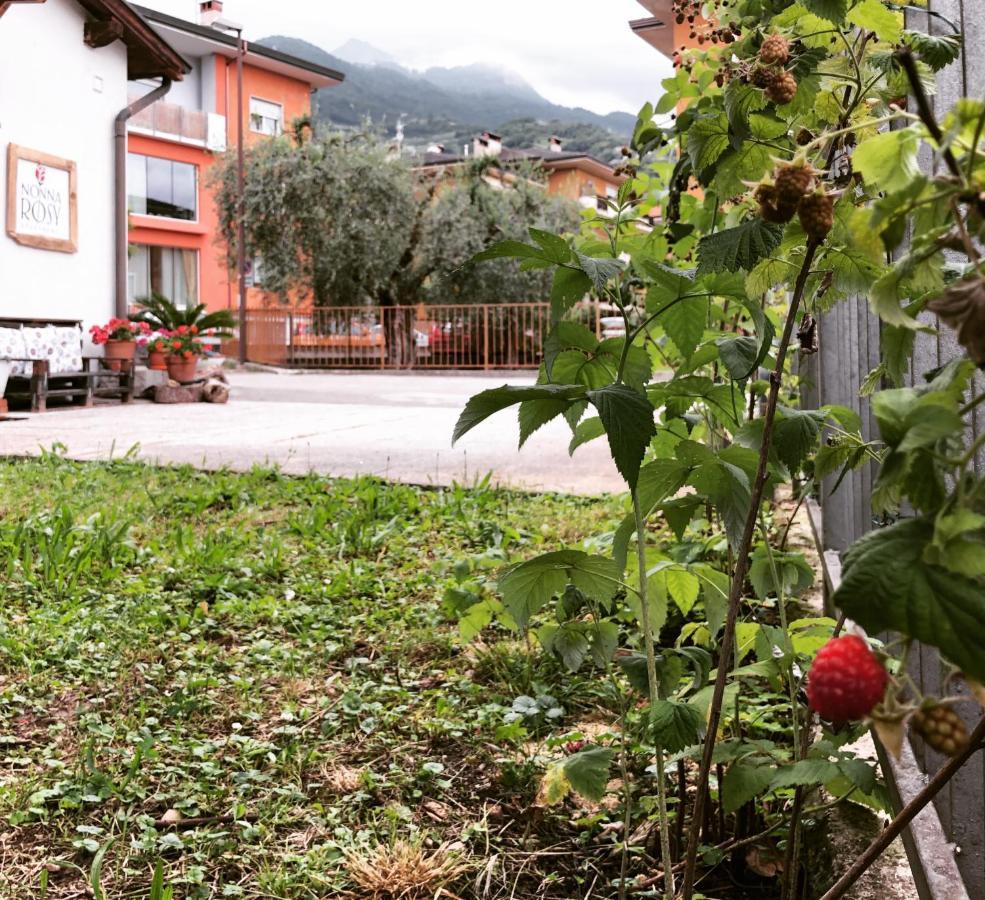 Apartment Nonna Rosy